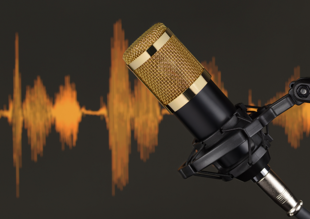 karaoke - microphone - auto tune - condenser microphones